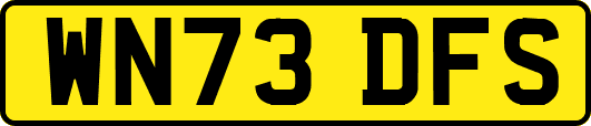 WN73DFS