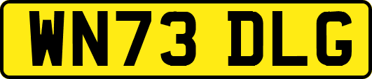 WN73DLG