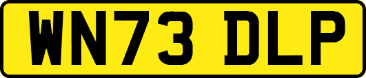 WN73DLP