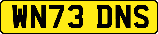 WN73DNS