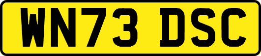 WN73DSC