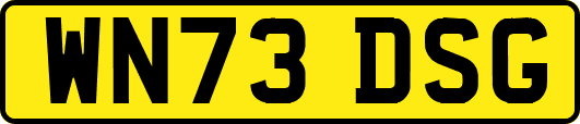 WN73DSG