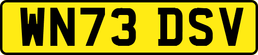 WN73DSV