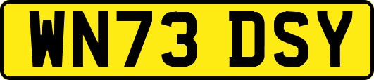 WN73DSY