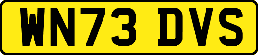 WN73DVS
