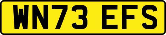 WN73EFS