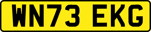 WN73EKG