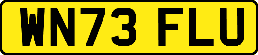 WN73FLU