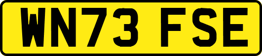 WN73FSE