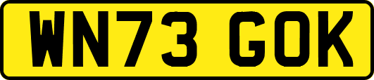 WN73GOK