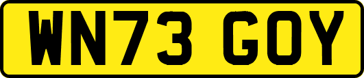 WN73GOY