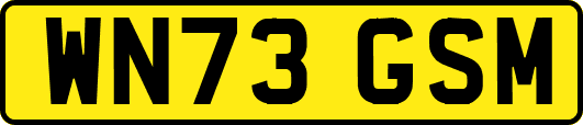 WN73GSM