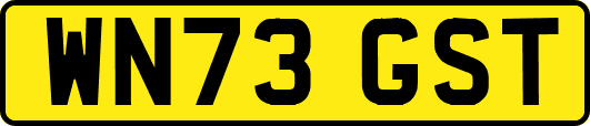 WN73GST