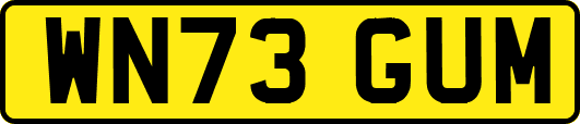 WN73GUM