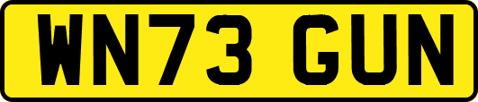 WN73GUN