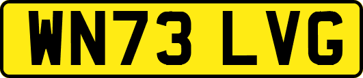 WN73LVG