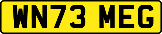 WN73MEG