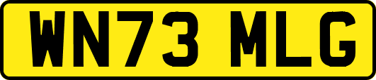 WN73MLG