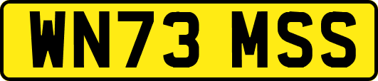 WN73MSS