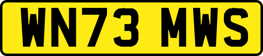 WN73MWS