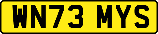 WN73MYS