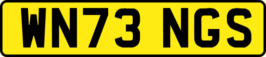 WN73NGS