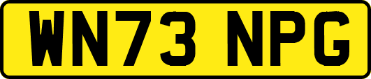 WN73NPG