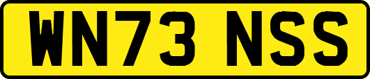 WN73NSS