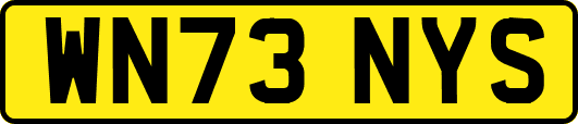 WN73NYS