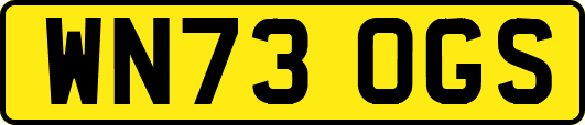 WN73OGS