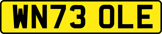 WN73OLE