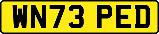 WN73PED