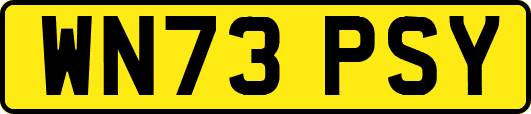 WN73PSY