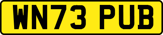 WN73PUB
