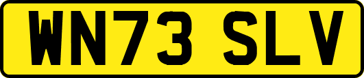 WN73SLV
