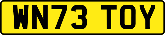 WN73TOY
