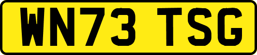 WN73TSG