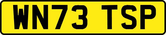 WN73TSP