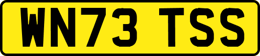WN73TSS