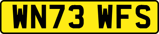 WN73WFS