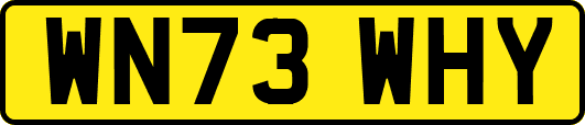 WN73WHY