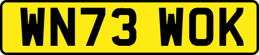 WN73WOK