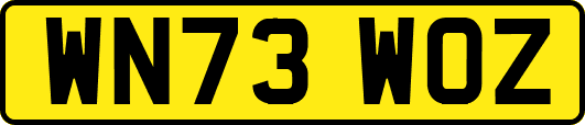 WN73WOZ