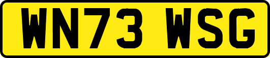 WN73WSG