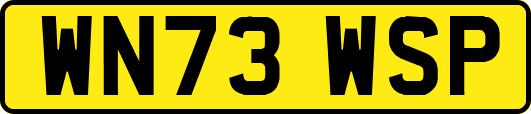 WN73WSP