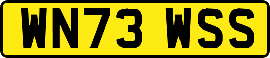 WN73WSS