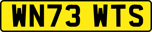 WN73WTS