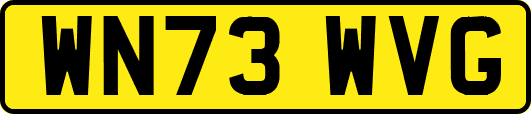 WN73WVG