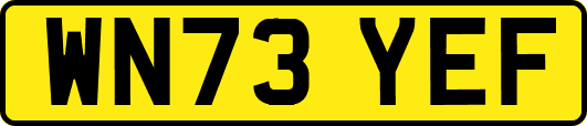 WN73YEF