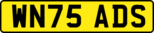 WN75ADS